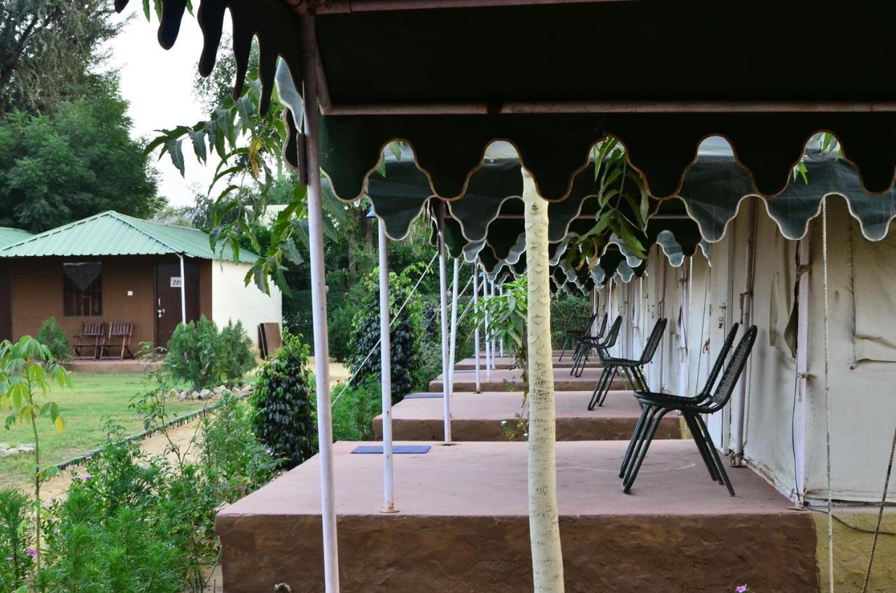 The Narayan Resort Farm Stay Πουσκάρ Εξωτερικό φωτογραφία
