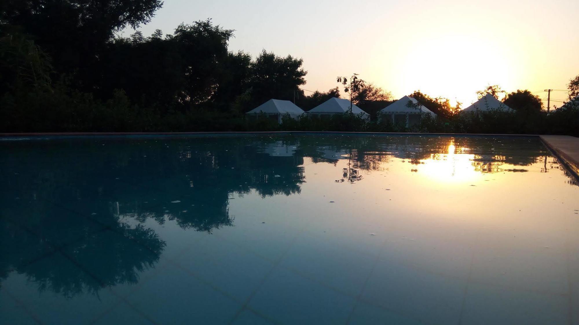 The Narayan Resort Farm Stay Πουσκάρ Εξωτερικό φωτογραφία